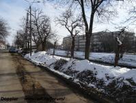 Imagine atasata: Bega - 2014.01.31 - 4.jpg